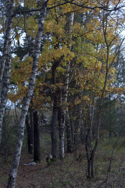DSC7466-result.jpg