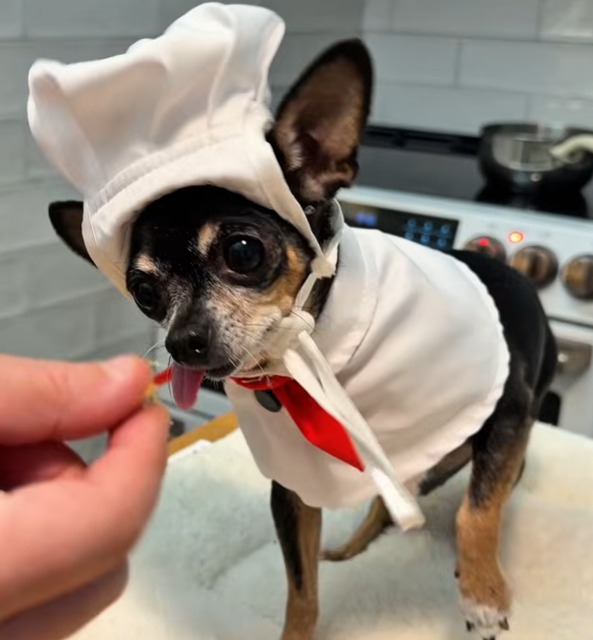 chef maya