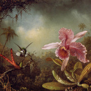 Orchid-with-Two-Hummingbirds