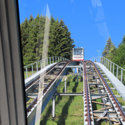 IMG 1703