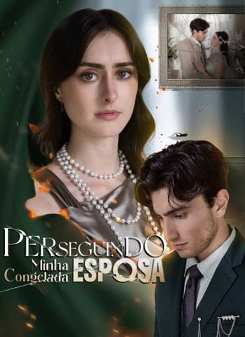 Pôster de Perseguindo minha esposa congelada