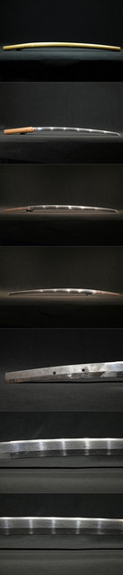 DSC3337