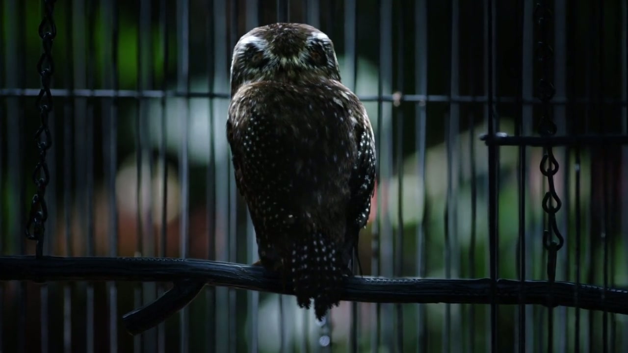 Prison Break Screenshot