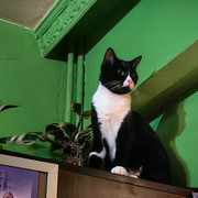 IMG 20260503 044020
