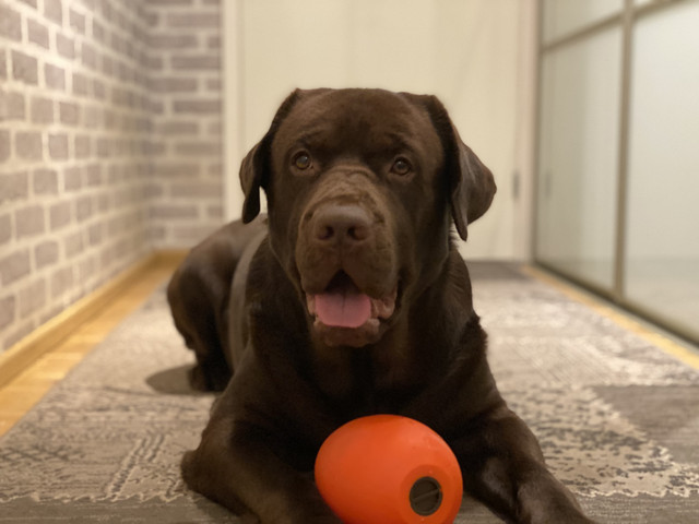 90855024-5-DDF-46-B3-8778-F473-A2-D122-B