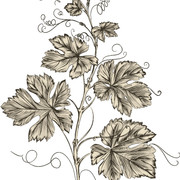 shutterstock 2359418059