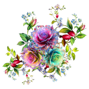 nohat-bg-removed-d7e276c7