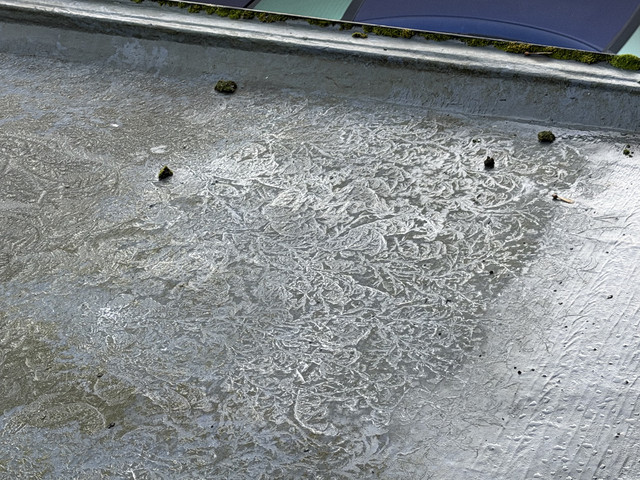 IMG 0354.jpg