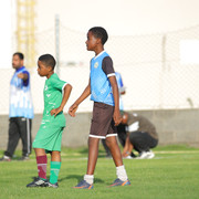 IMG 4250