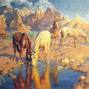 arizona-07