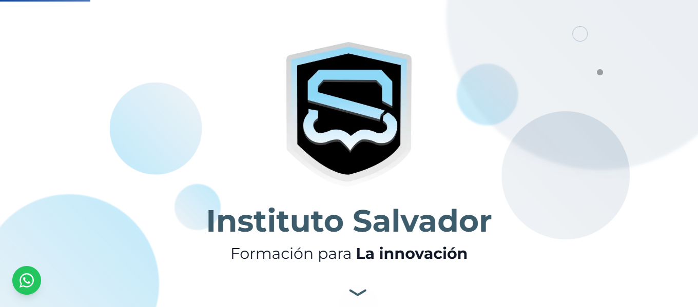 Sitio web - Instituto Salvador