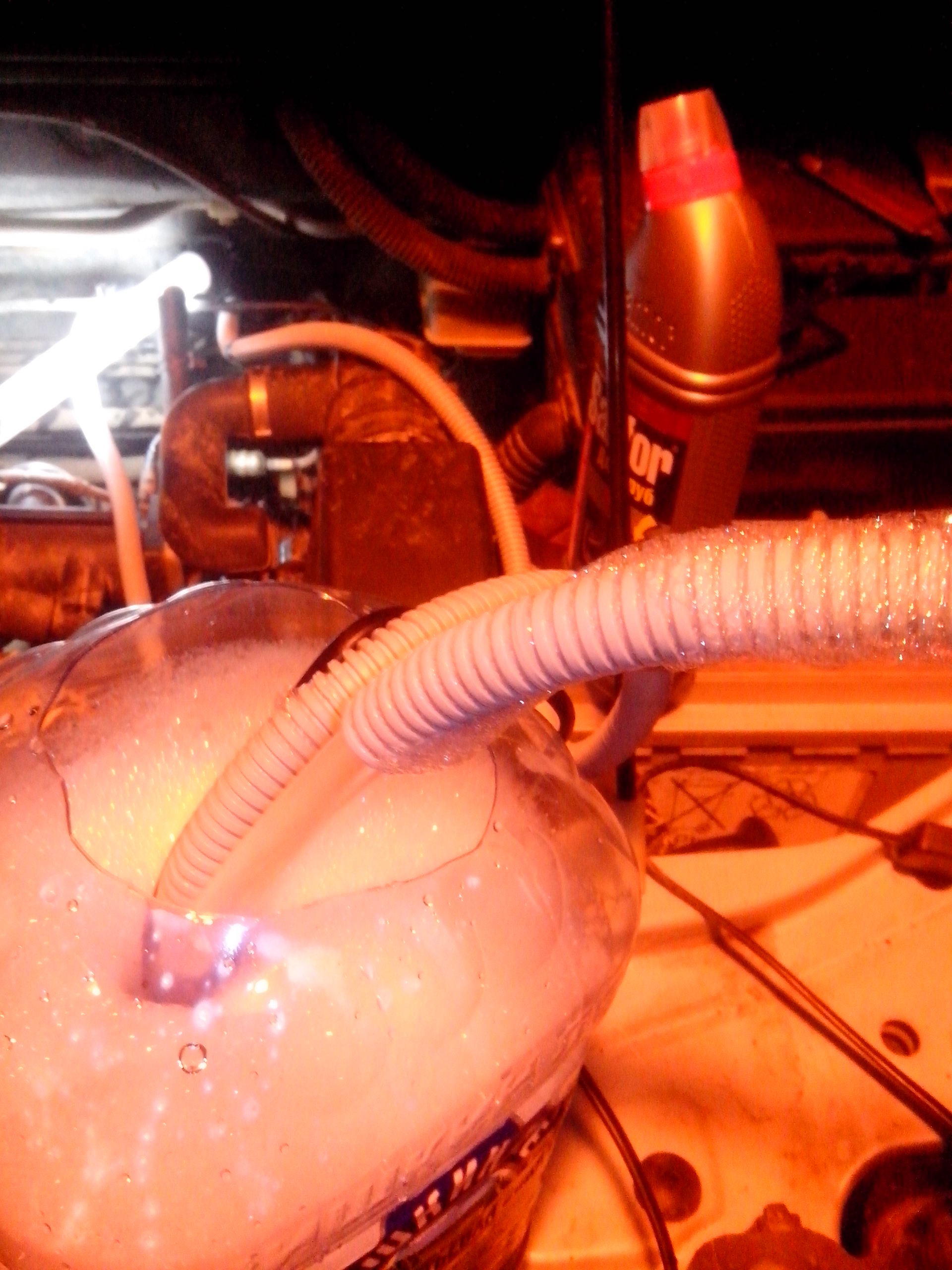 https://i.ibb.co/HTPNW9gT/gh-XN2.jpg