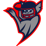 Louisville Bats Logo
