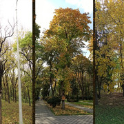 КоллажЕсс9
