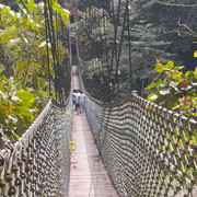 Brunei Adventure 142 Hike