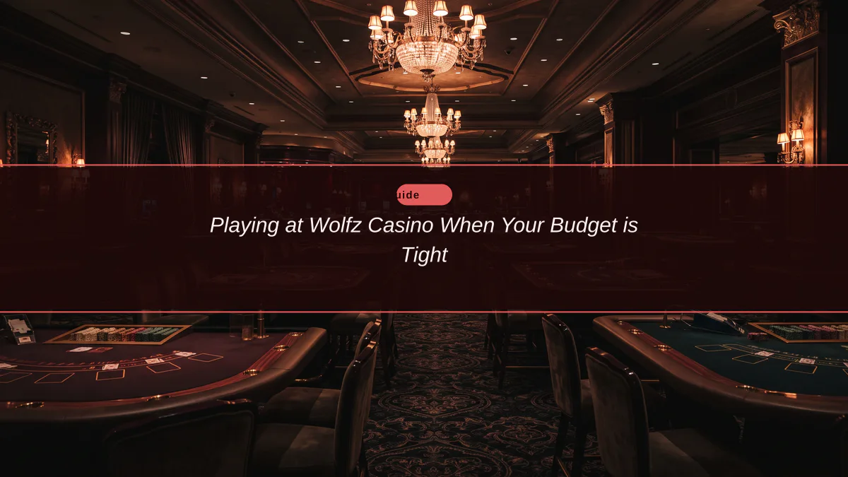 Playing at Wolfz Casino When Your Budget is Tight