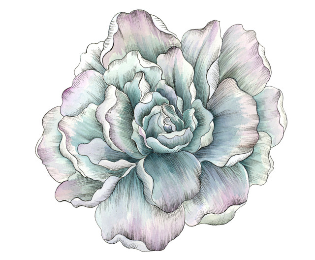 shutterstock-1762532033.jpg