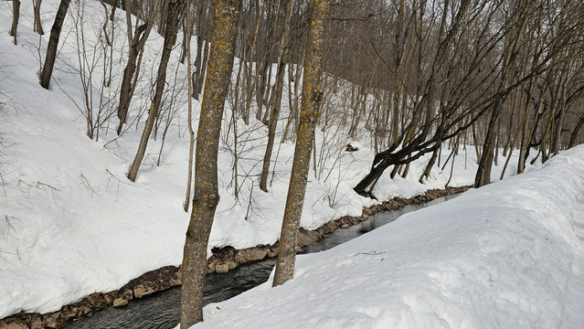 20260315-110905.jpg