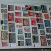IMG-6921