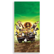 31001149-Madagascar