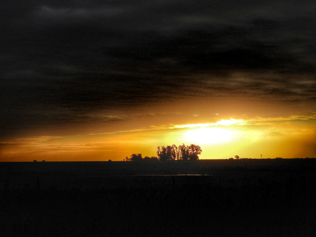 DSCN4807.jpg