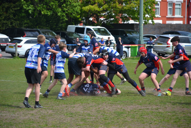 DSC 0808.jpg
