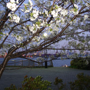 2008-04-02-47
