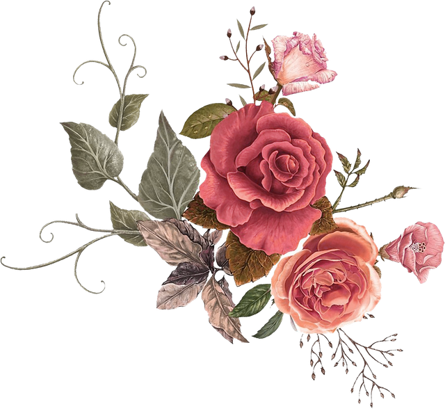 14e56c4bd0cbc5eb9e3d6a73a3ebc27d.png