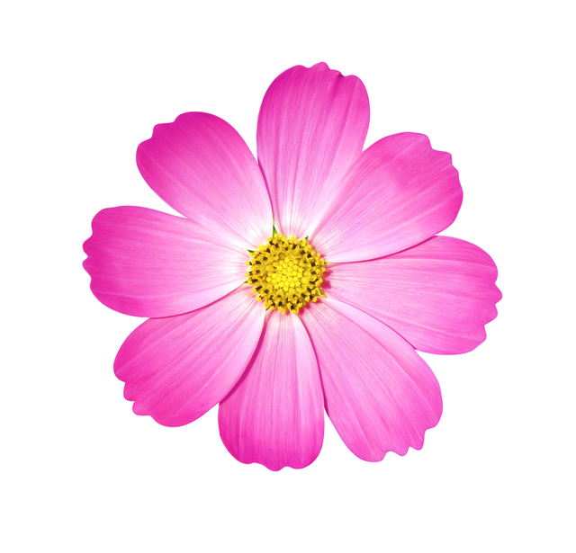 05a16911a07b3b3ca0ac384385e8ad7a.png