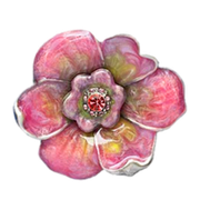 Tropical-Sunrise-152