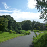 P1350289