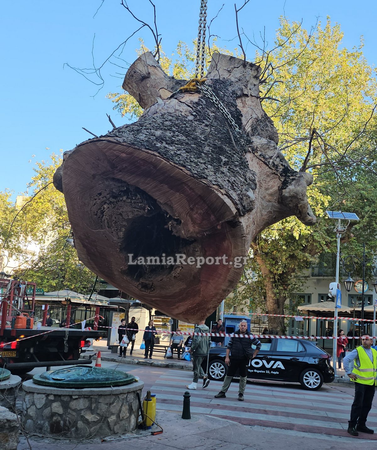 Δεντρο πλατεια Λαου027