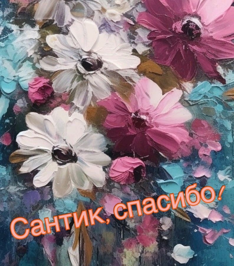 https://i.ibb.co/HTr88KNk/IMG-6695.jpg