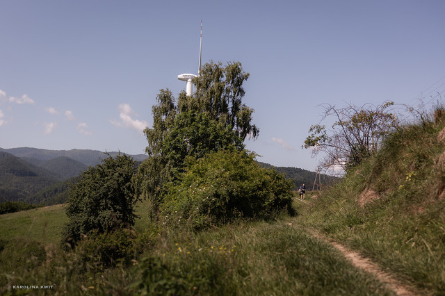 IMG-0173