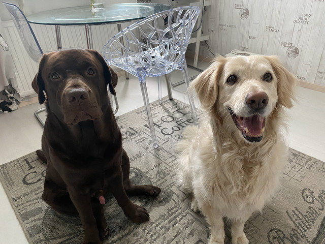 B182-B4-FC-3245-49-A8-A22-B-BC9196-FD6-C