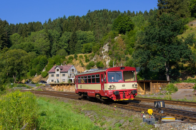 DSC 2146 1