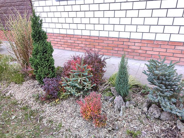IMG-20241103-153153.jpg