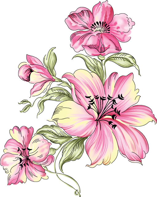 b21e451ebd2449471409f3312ee873ae (1).png