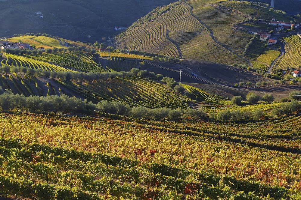 Douro