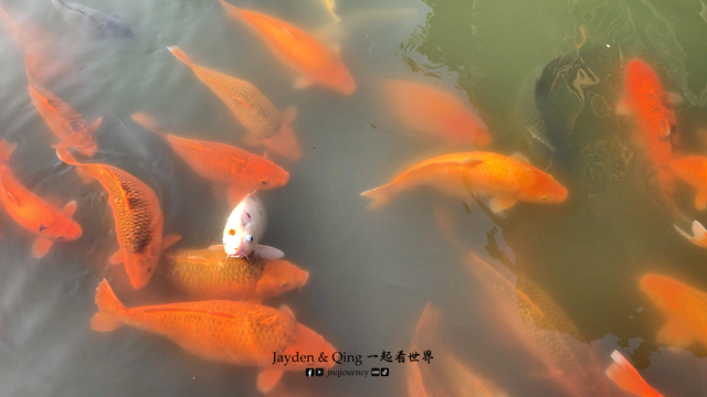 4月7日(7) watermarked.png