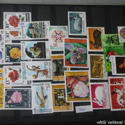 IMG-2451