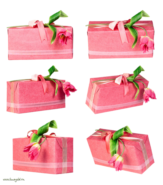 56625e77c404