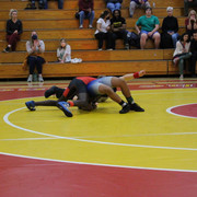 IMG-0428