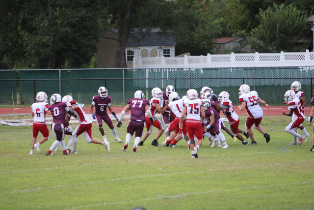IMG-2825.jpg