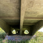 IMG-1448
