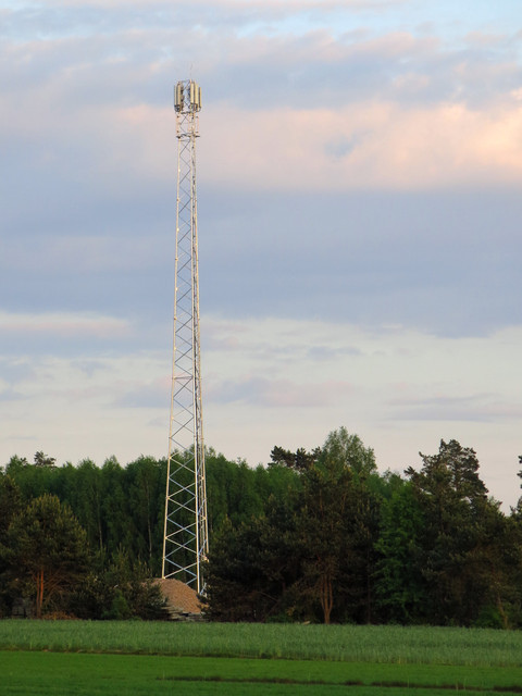 IMG-4561