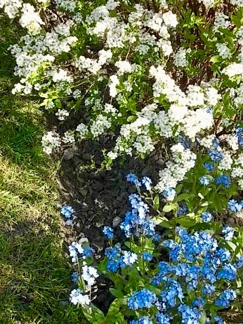 DSCN2564.jpg