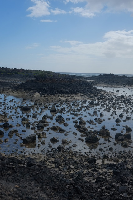 DSCF8673.jpg