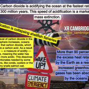 xrcambridgeoceanacidification