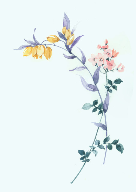 shutterstock 709763446.jpg
